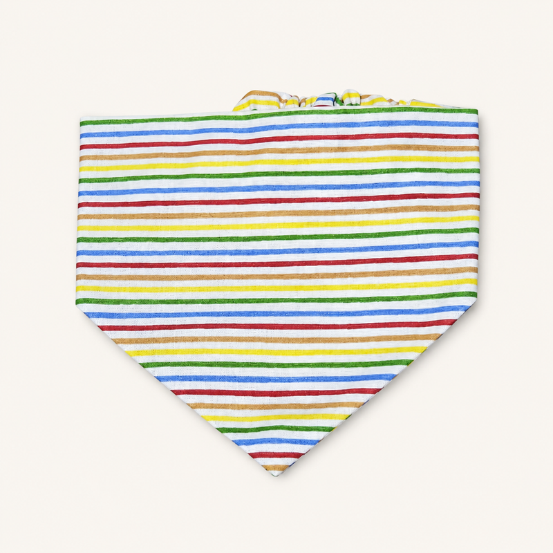 Bandana Rayas Alegría