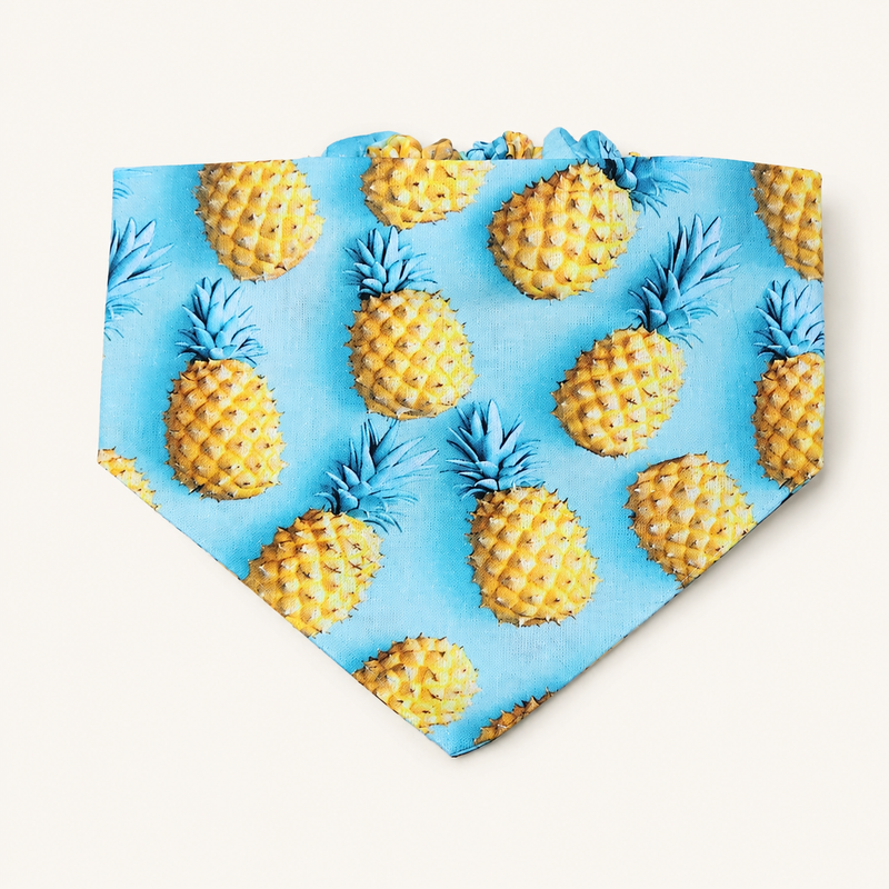 Bandana Piña Colada