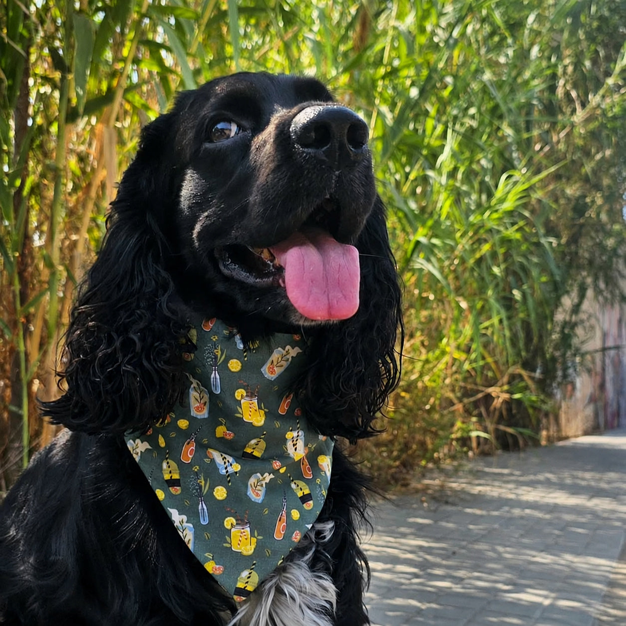 Bandanas RAMONA